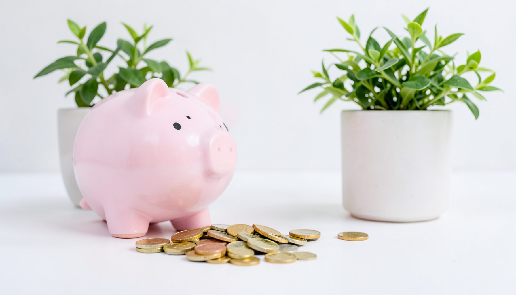 A minimalist arrangement of coins, a piggy bank, and a green plant on a white desk