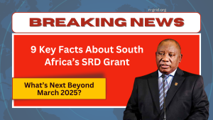 9 Key Facts About South Africa’s SRD Grant - What’s Next Beyond March 2025?